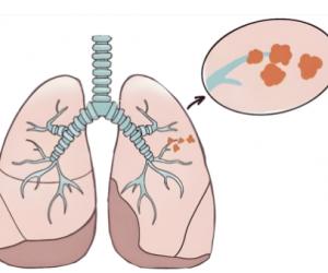 ﶬʱϽҽԺɭѣνȺעЩź